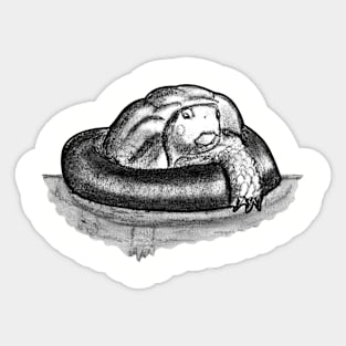 Lazy River Turtle Sticker